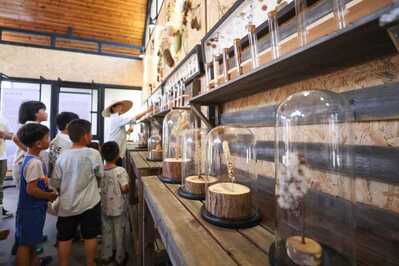 Ding’an Seeds Museum九所种子博物馆 (1) Ding’an Seeds Museum九所种子博物馆 (1)