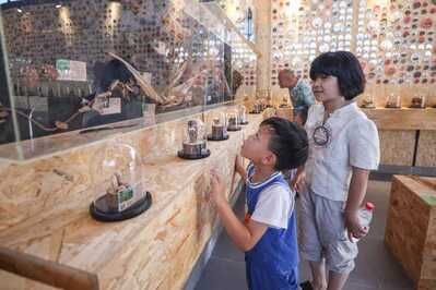Ding’an Seeds Museum九所种子博物馆 (2) Ding’an Seeds Museum九所种子博物馆 (2)