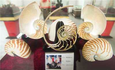 Hainan Seaworld Museum of Shell Culture — Haikou 海南海世界贝壳文化博物馆 (2) Hainan Seaworld Museum of Shell Culture — Haikou 海南海世界贝壳文化博物馆 (2)