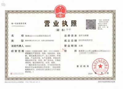 Chinese Business Licence Chinese Business Licence