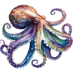 Local Octopus